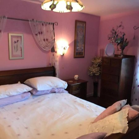 Cosy Cottage For Ecotourism Lovers Near Corwen Esterno foto