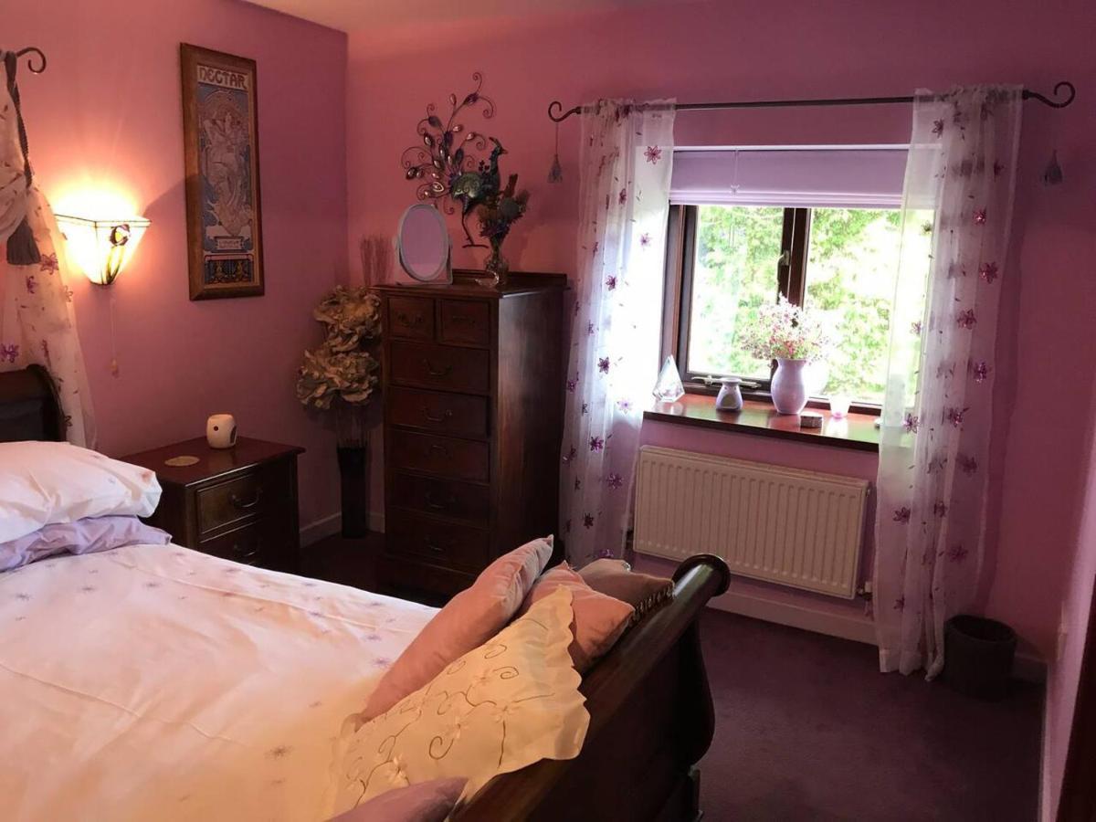 Cosy Cottage For Ecotourism Lovers Near Corwen Esterno foto