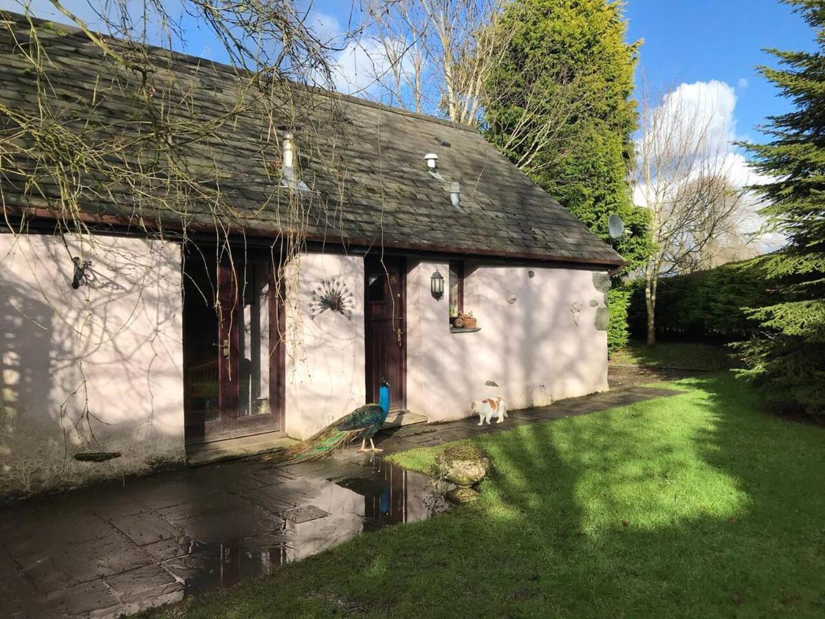 Cosy Cottage For Ecotourism Lovers Near Corwen Esterno foto