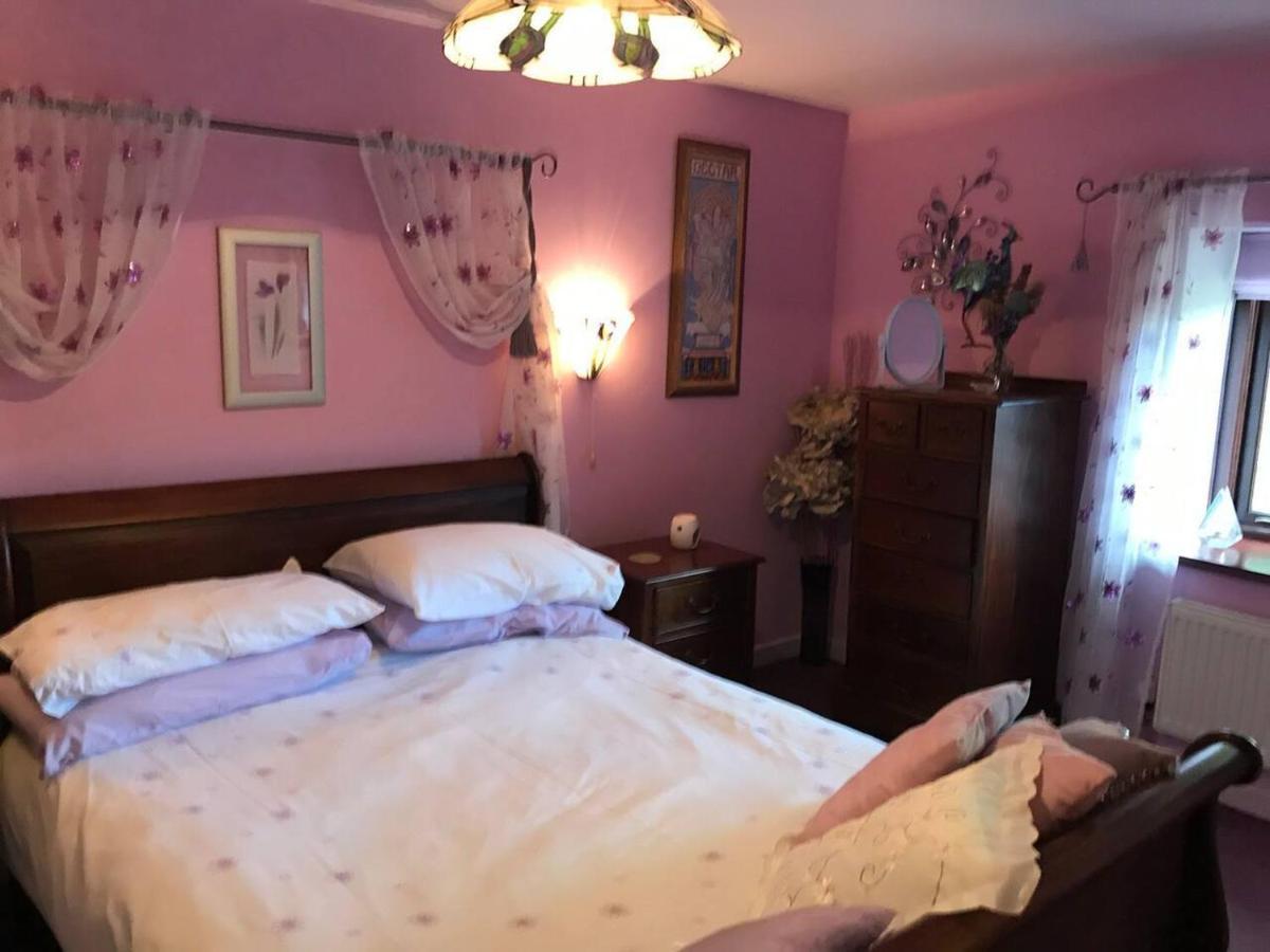 Cosy Cottage For Ecotourism Lovers Near Corwen Esterno foto