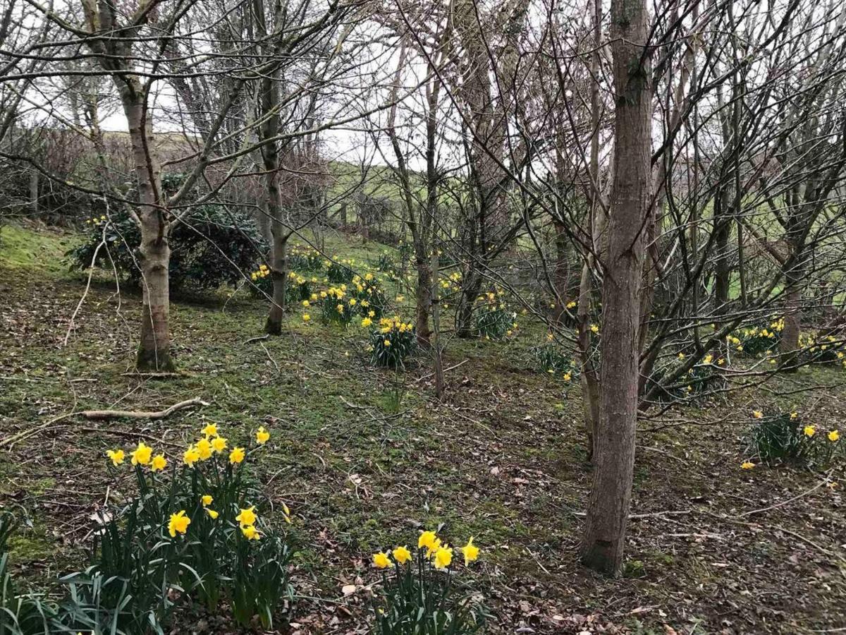 Cosy Cottage For Ecotourism Lovers Near Corwen Esterno foto