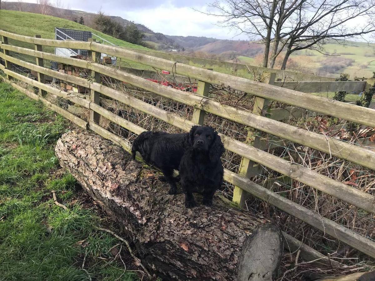 Cosy Cottage For Ecotourism Lovers Near Corwen Esterno foto