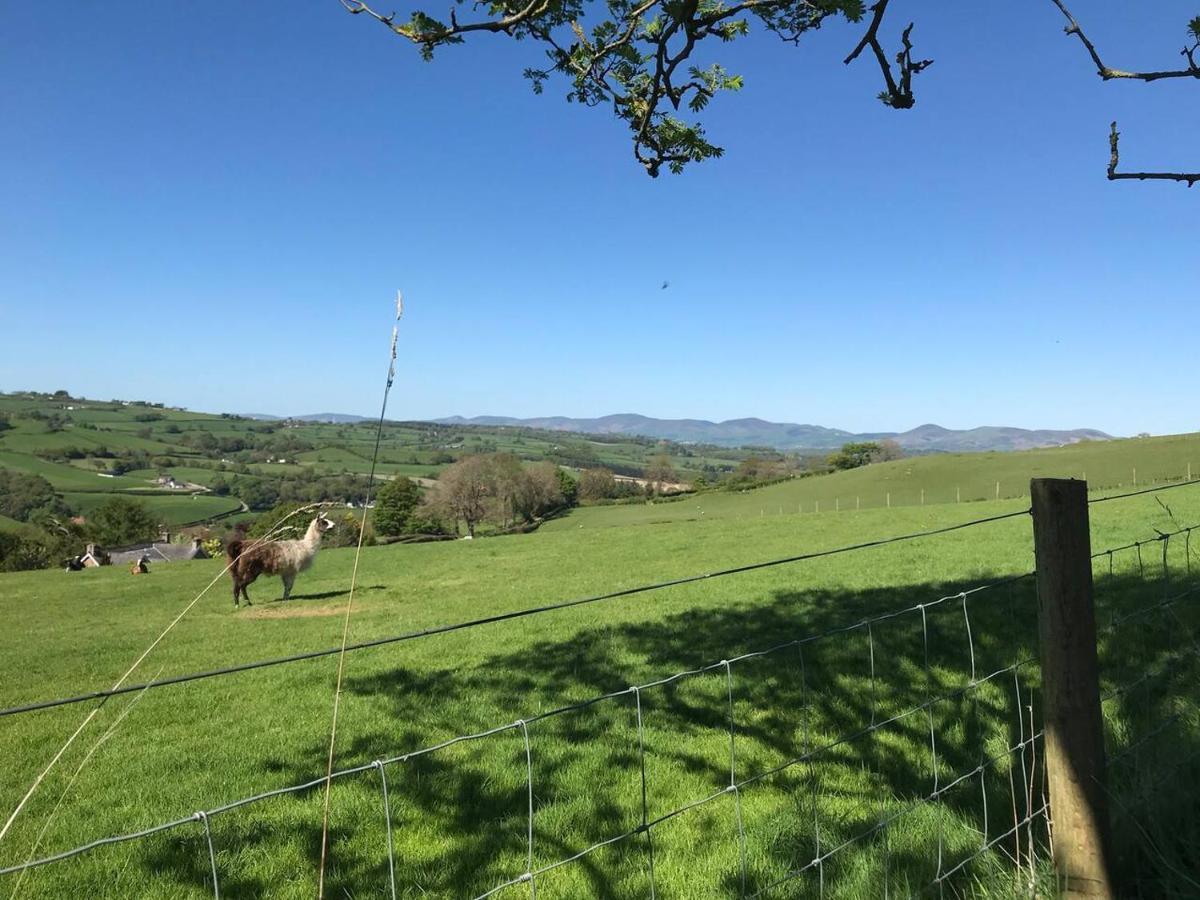 Cosy Cottage For Ecotourism Lovers Near Corwen Esterno foto