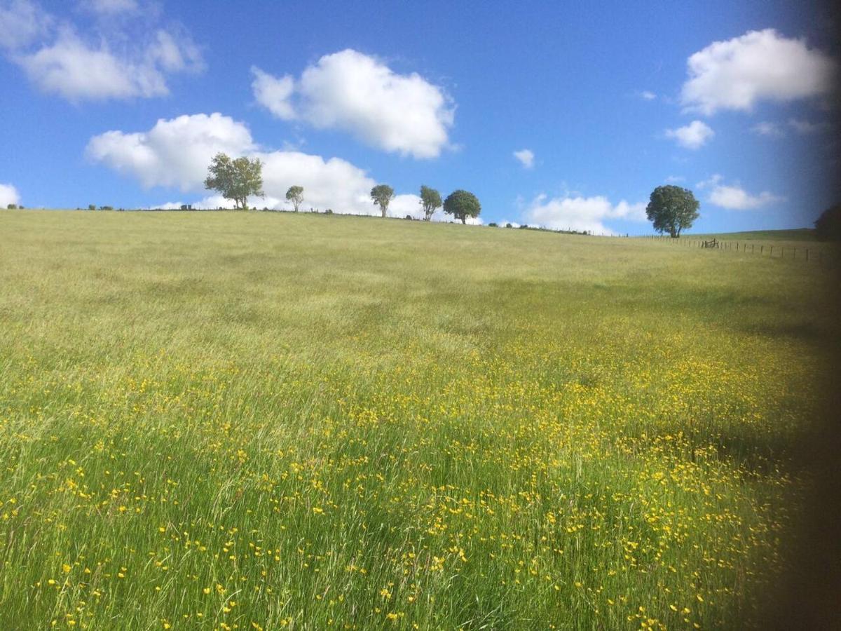 Cosy Cottage For Ecotourism Lovers Near Corwen Esterno foto